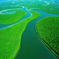 aerial view of a river delta with lush green vegetation and winding waterways