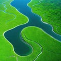 aerial view of a river delta with lush green vegetation and winding waterways