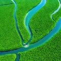 aerial view of a river delta with lush green vegetation and winding waterways