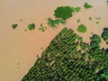 Aerial view river flood forest nature woodland area green tree farmland agriculture, Top view river lagoon pond with water flood