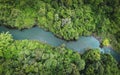 Aerial view river forest nature woodland area green tree, Top view river lagoon pond with blue water from above, Bird eye view Royalty Free Stock Photo