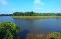 Aerial view the river on green forest plain.. Royalty Free Stock Photo