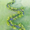 Aerial view of river meander in the lush green vegetation of the delta. Beautiful landscape - wild river in USA. National nature Royalty Free Stock Photo