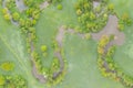 Aerial view of river meander in the lush green vegetation of the delta Top view of the valley of a meandering river among green Royalty Free Stock Photo