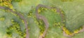 Aerial view of river meander in the lush green vegetation of the delta Top view of the valley of a meandering river among green