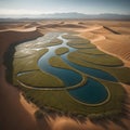 Aerial view of the river in the middle of the desert. generative ai