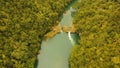 Loboc river in the rainforest Philippines, Bohol.