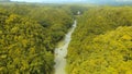 Loboc river in the rainforest Philippines, Bohol.