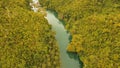 Loboc river in the rainforest Philippines, Bohol.