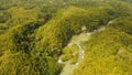 Loboc river in the rainforest Philippines, Bohol.