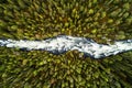 An aerial view of river rapids flowing through lush Finnish taiga forest Royalty Free Stock Photo