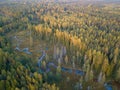 Aerial view of a river running through the lush green forest with tall trees at sunlight Royalty Free Stock Photo
