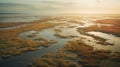 Serene Aerial View Of Golden Marsh Land: A Captivating Maritime Landscape
