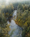 Aerial view of river surrounded by thick forest