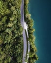 Aerial view of a road along Lake Bled shoreline running near Pine trees, Upper Carniola, Slovenia