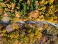 Aerial view of road in autumn forest. Fall landscape with road, red, yellow and green trees. Cars passing on road. Royalty Free Stock Photo