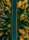 Aerial view of road in autumn forest. Fall landscape with road, red and yellow trees. Royalty Free Stock Photo