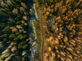 Aerial view of road in autumn forest. Fall landscape with rural road, red, yellow trees with frost. Royalty Free Stock Photo