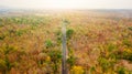Aerial view of road in autumn forest at sunset. Amazing landscape with rural road, trees with red and orange leaves in day. Royalty Free Stock Photo
