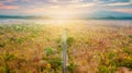 Aerial view of road in autumn forest at sunset. Amazing landscape with rural road, trees with red and orange leaves in day. Royalty Free Stock Photo