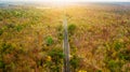 Aerial view of road in autumn forest at sunset. Amazing landscape with rural road, trees with red and orange leaves in day. Royalty Free Stock Photo