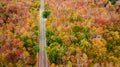 Aerial view of road in autumn forest at sunset. Amazing landscape with rural road, trees with red and orange leaves in day. Royalty Free Stock Photo