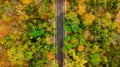 Aerial view of road in autumn forest at sunset. Amazing landscape with rural road, trees with red and orange leaves in day. Royalty Free Stock Photo