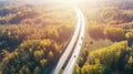 Aerial view of road in autumn forest at sunset. Amazing landscape with rural road, trees with red and orange leaves. Royalty Free Stock Photo