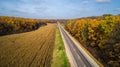 Aerial view of road in autumn forest at sunset. Amazing landscape with rural road, trees with red and orange leaves in a Royalty Free Stock Photo