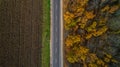 Aerial view of road in autumn forest at sunset. Amazing landscape with rural road, trees with red and orange leaves in a Royalty Free Stock Photo