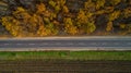 Aerial view of road in autumn forest at sunset. Amazing landscape with rural road, trees with red and orange leaves in a Royalty Free Stock Photo