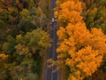 Aerial view of road in beautiful autumn altai forest Royalty Free Stock Photo