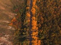 Aerial view of road in beautiful autumn altai forest Royalty Free Stock Photo