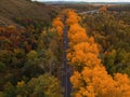 Aerial view of road in beautiful autumn altai forest Royalty Free Stock Photo