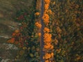 Aerial view of road in beautiful autumn altai forest Royalty Free Stock Photo