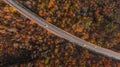 Aerial view of the road in beautiful autumn forest