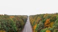 Aerial view of the road in beautiful autumn forest