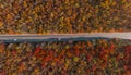 Aerial view of the road in beautiful autumn forest