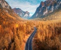 Aerial view of the road in beautiful autumn forest at sunset