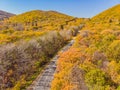 Aerial view of road in beautiful autumn forest at sunset. Beautiful landscape with empty rural road, trees with red and Royalty Free Stock Photo