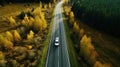 Aerial view of road in beautiful autumn forest at sunset. Beautiful landscape with empty rural road, trees with red and Royalty Free Stock Photo