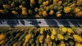 Aerial view of road in beautiful autumn forest at sunset. Beautiful landscape with empty rural road, trees with red and Royalty Free Stock Photo