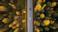 Aerial view of road in beautiful autumn forest at sunset. Beautiful landscape with empty rural road, trees with red and Royalty Free Stock Photo