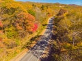 Aerial view of road in beautiful autumn forest at sunset. Beautiful landscape with empty rural road, trees with red and Royalty Free Stock Photo