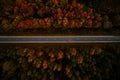 Aerial view of road in beautiful autumn forest at sunset. Beautiful landscape with empty rural road, trees with red and Royalty Free Stock Photo