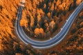 Aerial view of road in beautiful forest at sunset in autumn