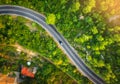 Aerial view of road in beautiful green forest at sunset in spring Royalty Free Stock Photo