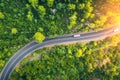 Aerial view of road in beautiful green forest at sunset in spring Royalty Free Stock Photo