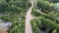 Aerial view of road in beautiful green forest at sunset in spring. Colorful landscape with trees in summer. View from Royalty Free Stock Photo