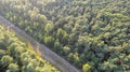 Aerial view of road in beautiful green forest at sunset in spring. Colorful landscape with trees in summer. View from Royalty Free Stock Photo